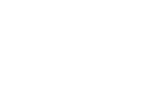 carethroughconnection.com